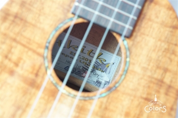 HK-PL 1st Anniversary